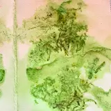 Image de l'activité 5