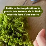 Image de l'activité 2