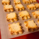 Image de l'activité 1
