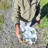 Image de l'activité 1