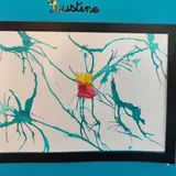 Image de l'activité 3