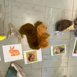 Image de l'activité 3