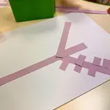 Image de l'activité 3