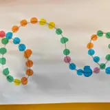 Image de l'activité 1