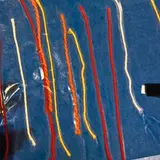 Image de l'activité 2