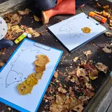 Image de l'activité 5