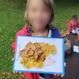 Image de l'activité 2