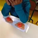 Image de l'activité 4