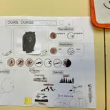 Image de l'activité 2