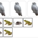 Image de l'activité 3