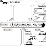 Image de l'activité 3