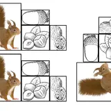 Image de l'activité 2