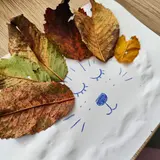 Image de l'activité 2
