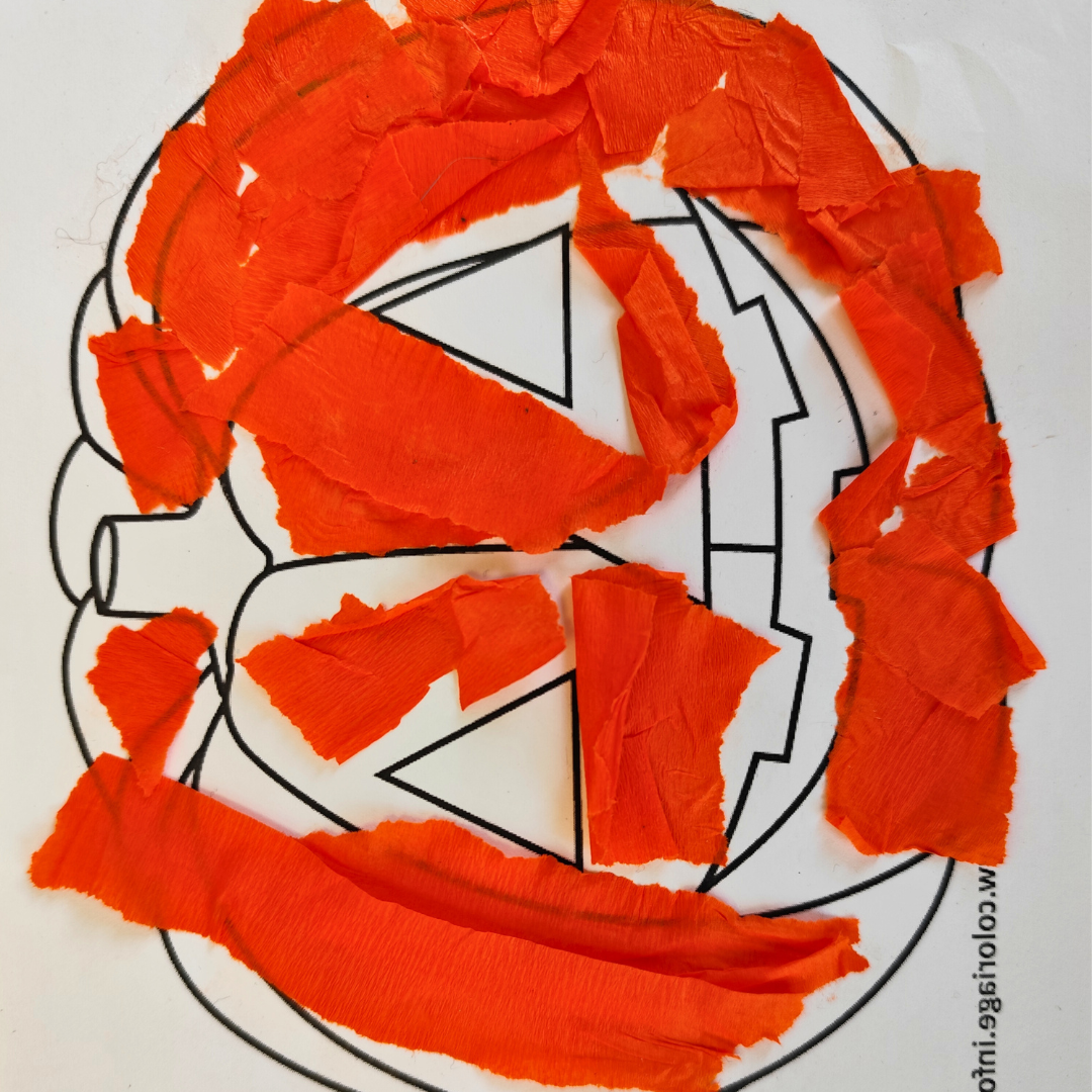 Image de l'activité 2