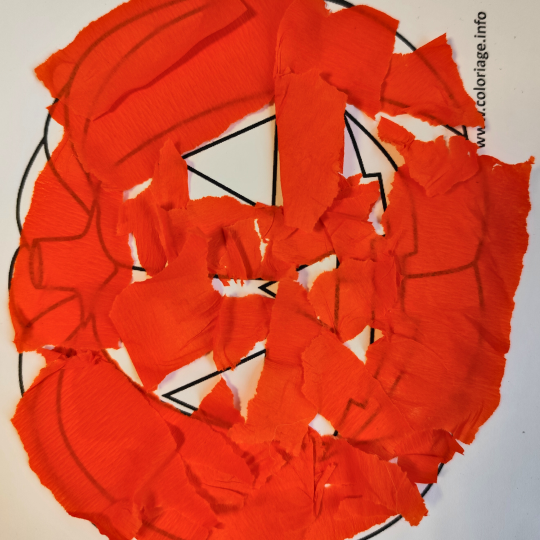 Image de l'activité 3