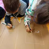 Image de l'activité 4