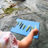 Image de l'activité 2