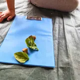 Image de l'activité 3