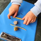 Image de l'activité 5
