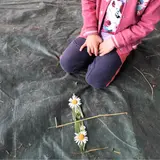 Image de l'activité 2
