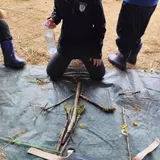 Image de l'activité 3