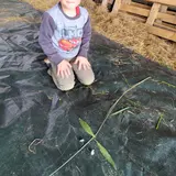 Image de l'activité 4