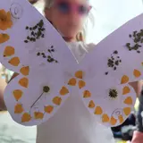 Image de l'activité 1