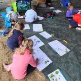 Image de l'activité 2