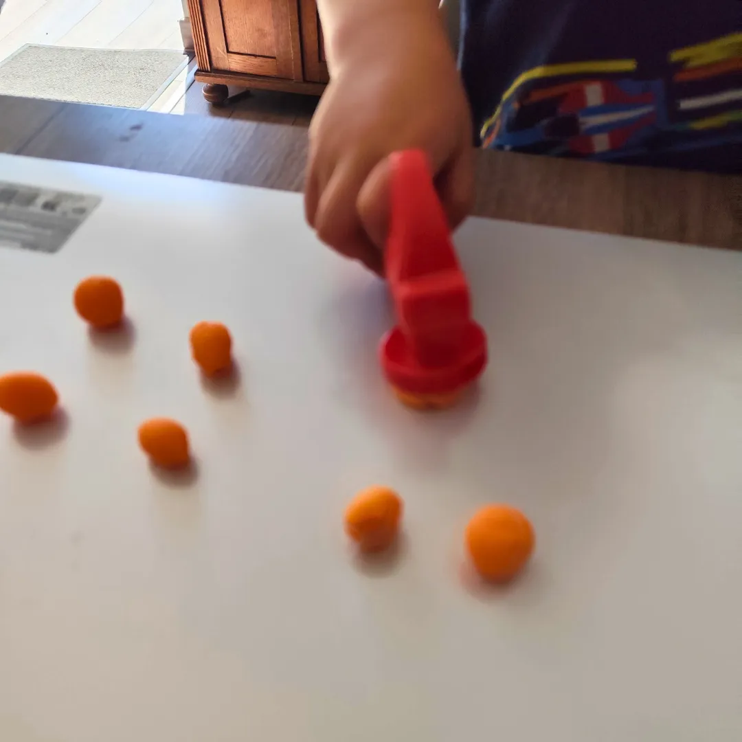 Image de l'activité 1