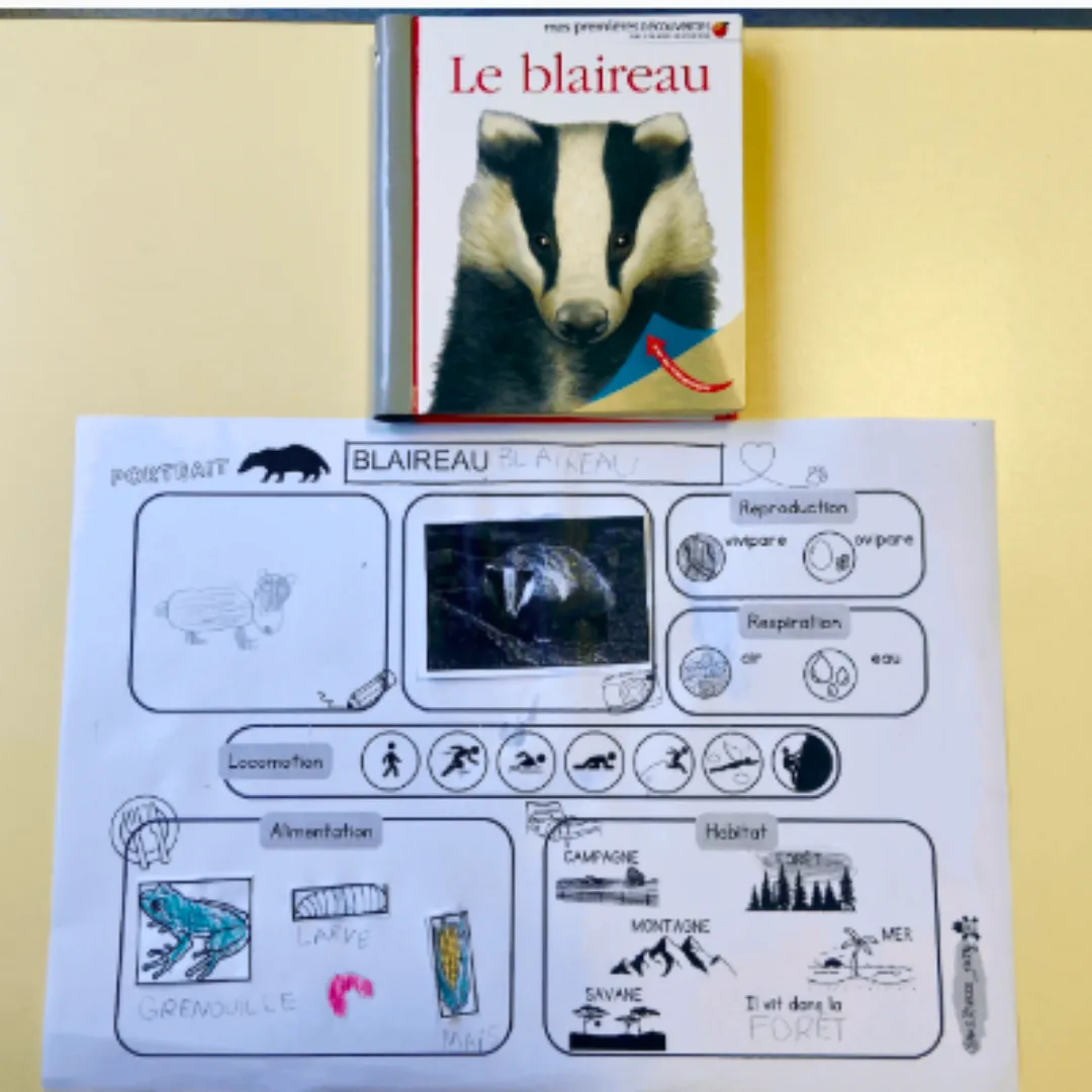 Image de l'activité 1