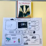 Image de l'activité 1
