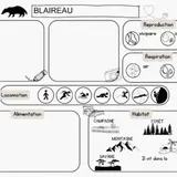 Image de l'activité 3