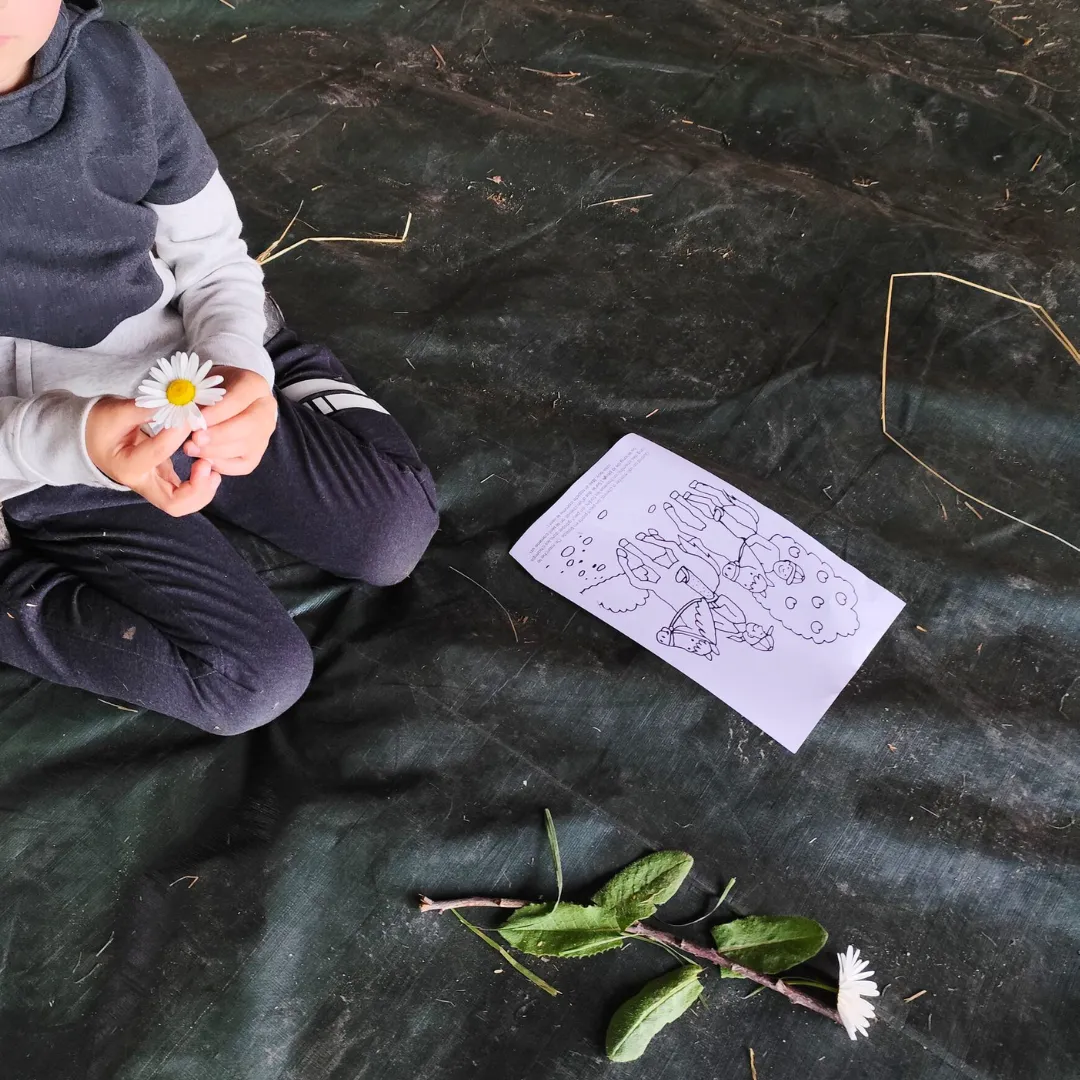 Image de l'activité 1