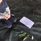 Image de l'activité 1