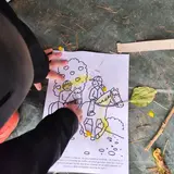 Image de l'activité 3