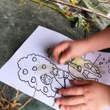 Image de l'activité 4