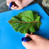 Image de l'activité 2