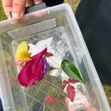 Image de l'activité 2