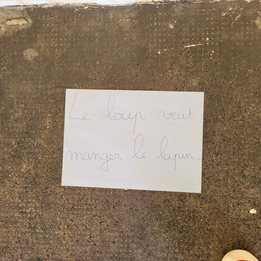 Image de l'activité 3