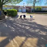 Image de l'activité 2