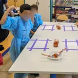 Image de l'activité 2