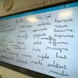 Image de l'activité 4