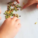 Image de l'activité 2