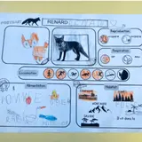 Image de l'activité 1