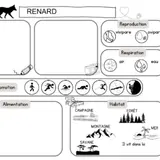 Image de l'activité 3