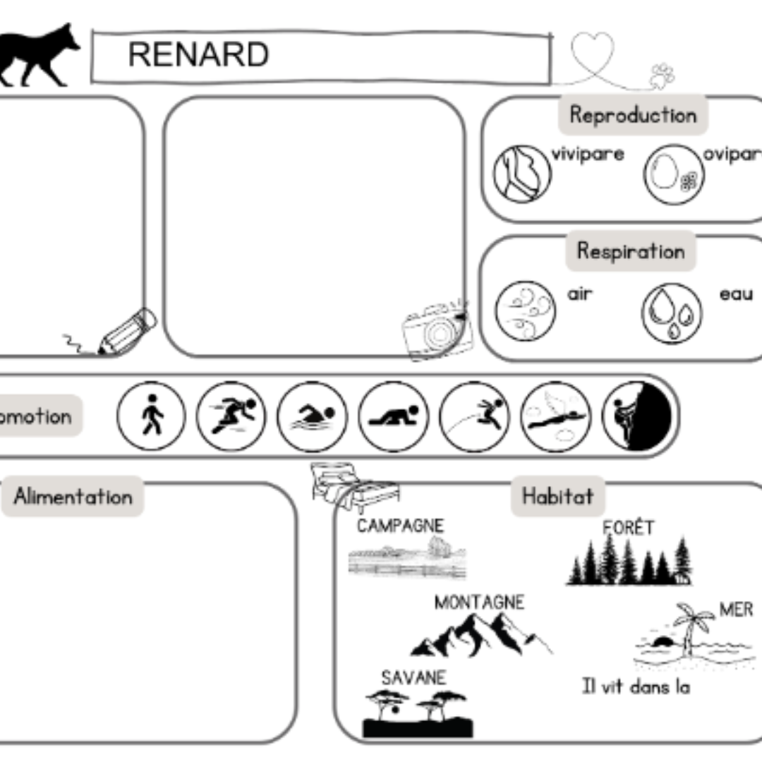 Image de l'activité 3
