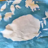 Image de l'activité 2