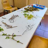 Image de l'activité 3