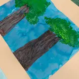 Image de l'activité 4