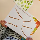 Image de l'activité 3